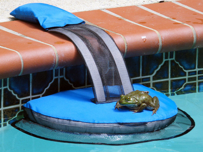 Frog Log Animal Escape Ramp